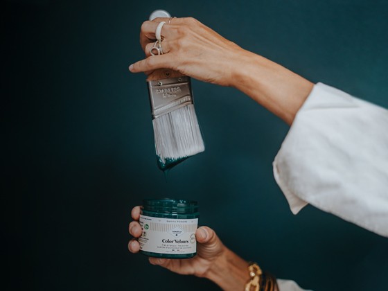 Camaelle une peinture biosourcée ? 